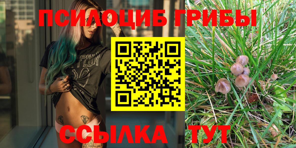 Мончегорск  Галлюциногенные грибы ЛСД  Вход с VPN  Псилоцибиновые грибы Cubensis 