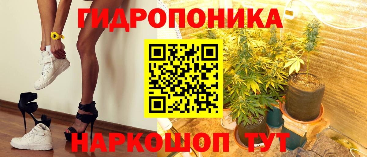 Каннабис индика  Канабис планчик  Вход с VPN  Марихуана AK-47  Бошки марихуана индика  Мончегорск 